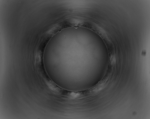 X0000102010570200807181231