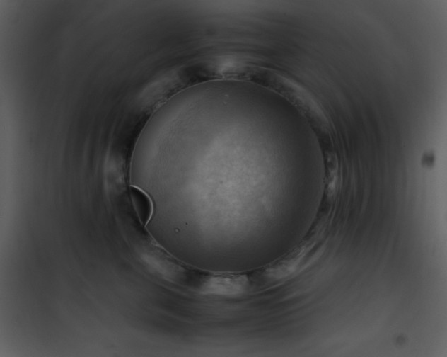 X0000102010571200807181231