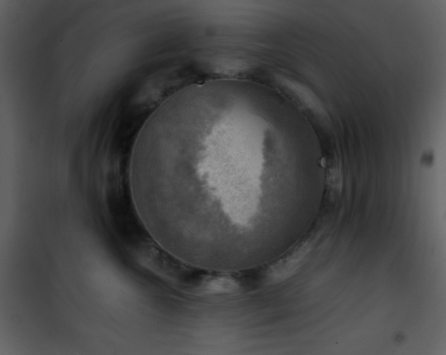 X0000102010572200807181231