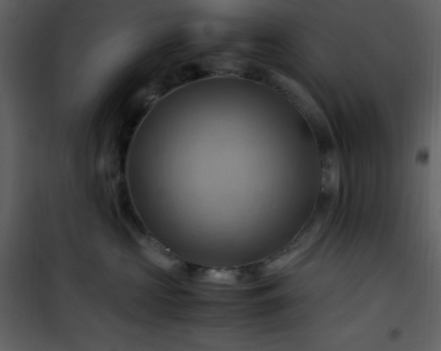X0000102010573200807181231