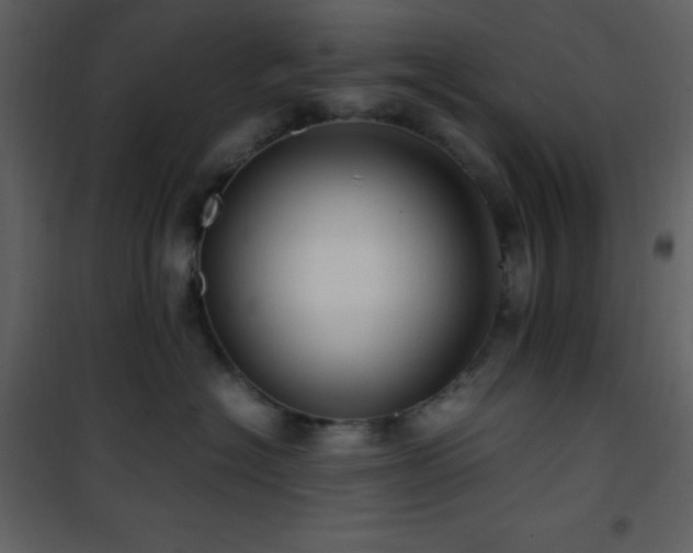 X0000102010574200807181231