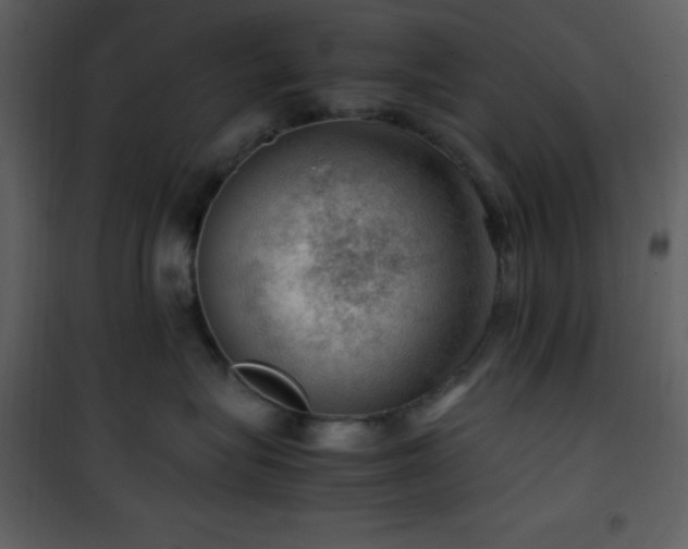 X0000102010575200807181231