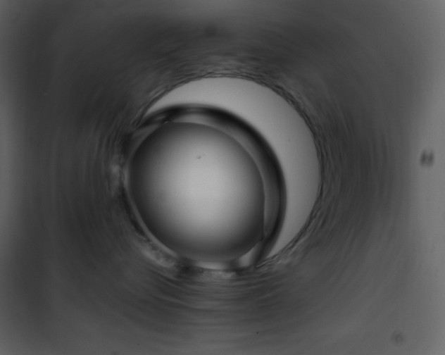 X0000102010576200807181231