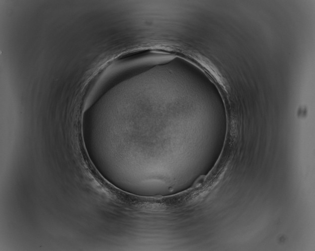 X0000102010577200807181230