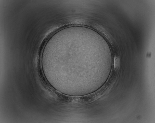 X0000102010579200807181230
