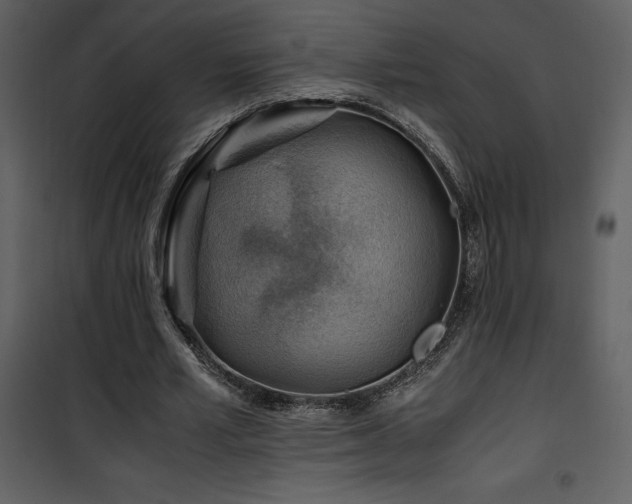 X0000102010581200807181230