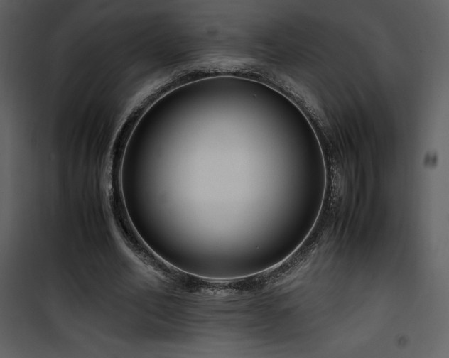 X0000102010582200807181230