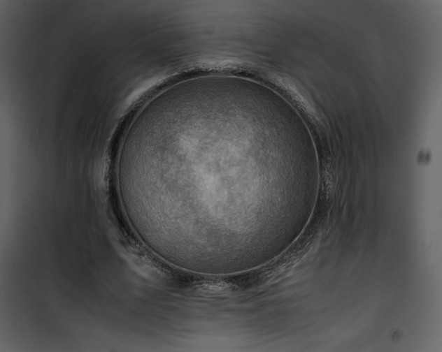X0000102010583200807181230