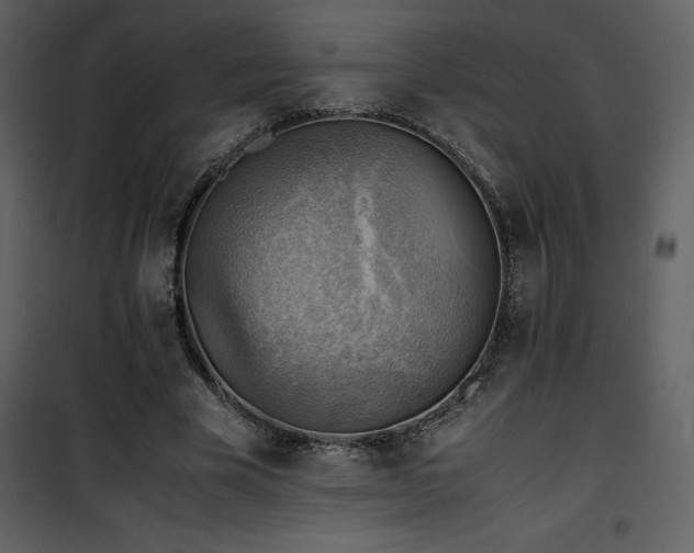 X0000102010585200807181230