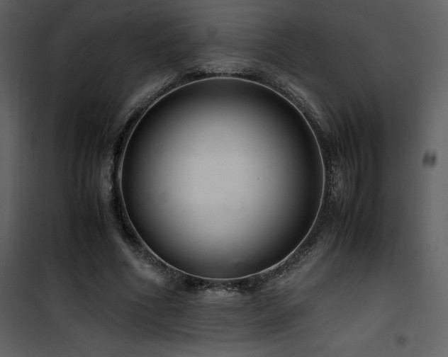 X0000102010586200807181230