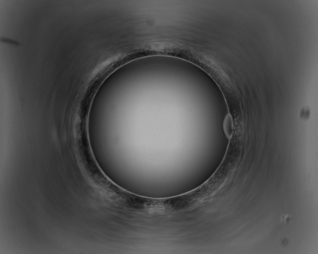 X0000102010587200807181230