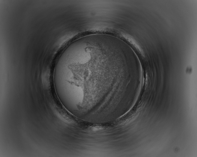X0000102010588200807181230
