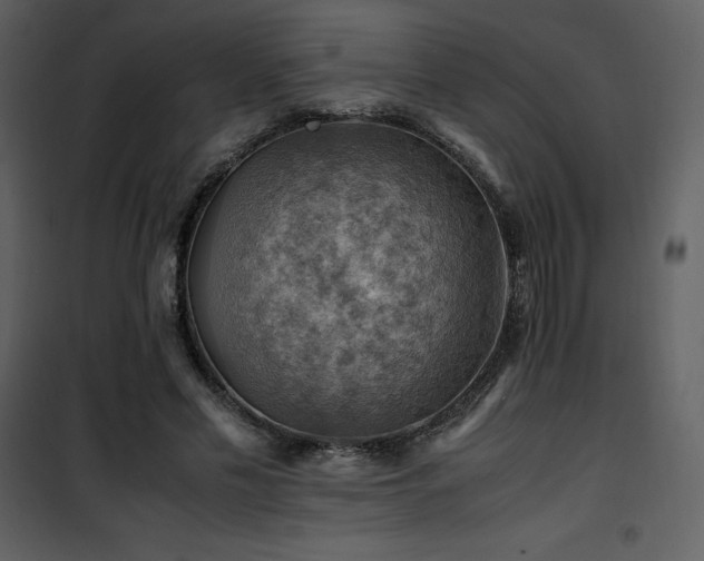 X0000102010589200807181230