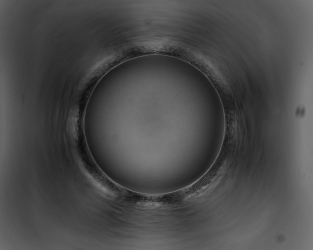 X0000102010590200807181230