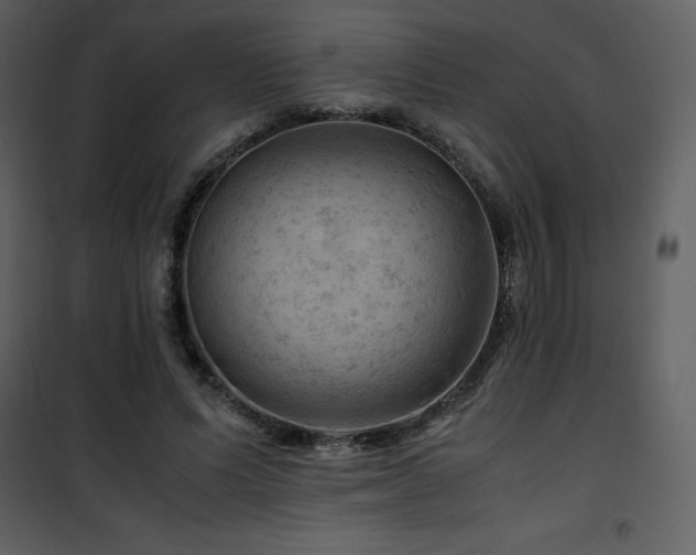 X0000102010591200807181230