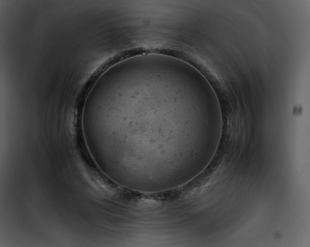 X0000102010592200807181230