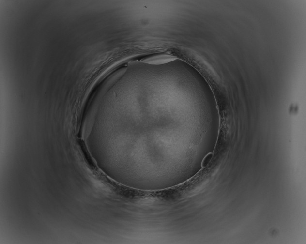 X0000102010593200807181230