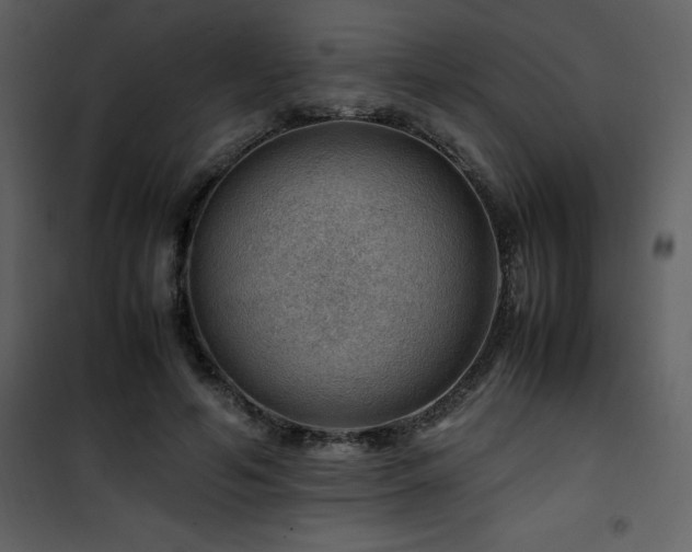 X0000102010594200807181230