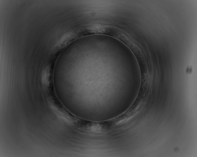X0000102010600200807181230