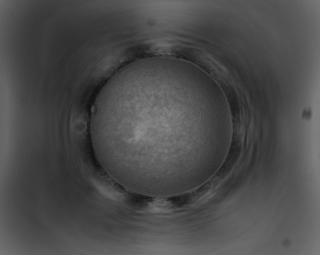 X0000102010603200807181230