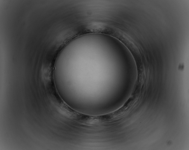 X0000102010604200807181230