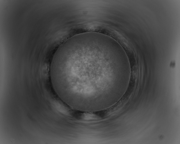 X0000102010605200807181230