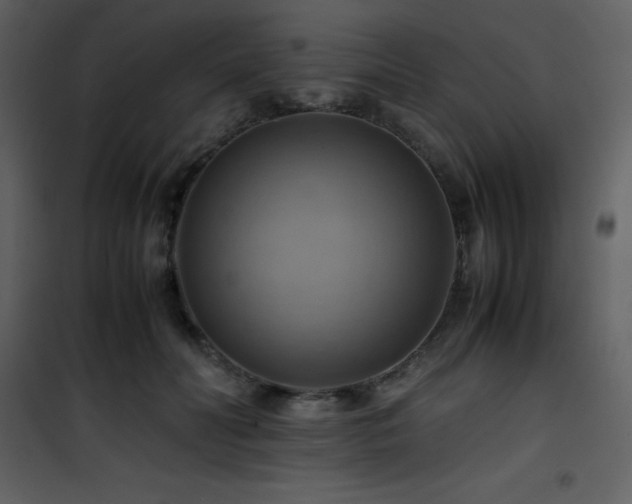 X0000102010606200807181230