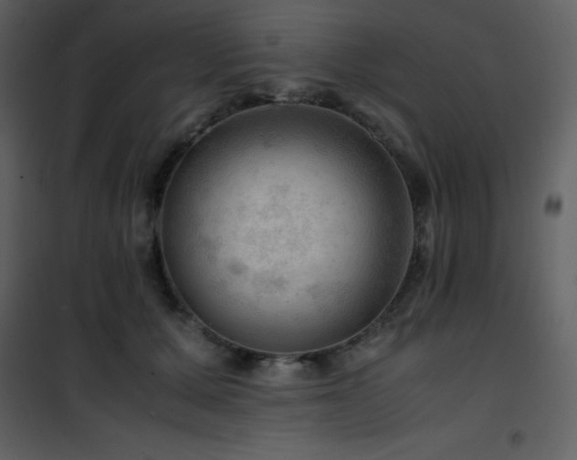 X0000102010607200807181230