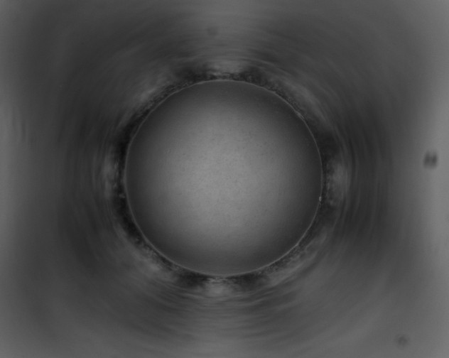 X0000102010608200807181230
