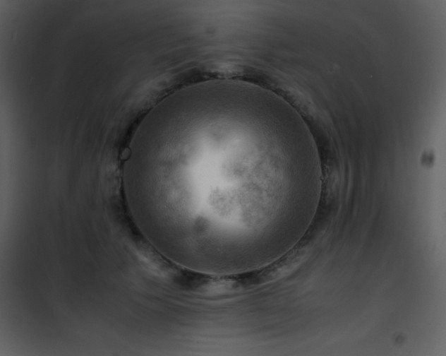 X0000102010609200807181230