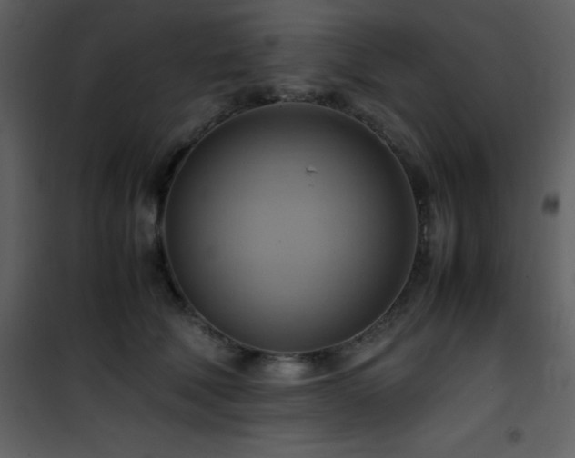 X0000102010610200807181230