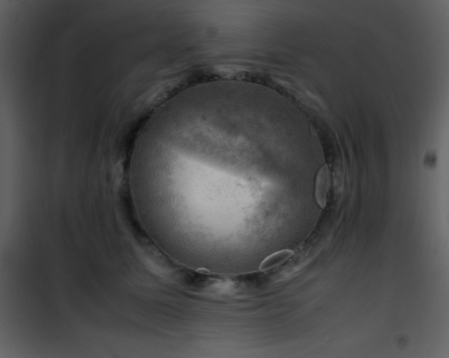 X0000102010611200807181230
