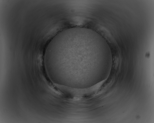 X0000102010612200807181230
