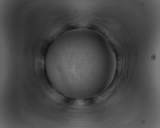 X0000102010613200807181230