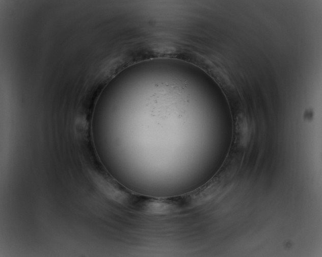 X0000102010614200807181230