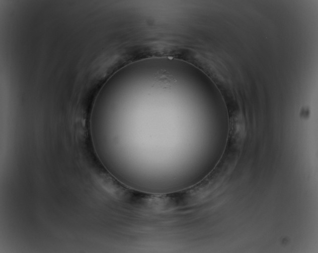 X0000102010615200807181230