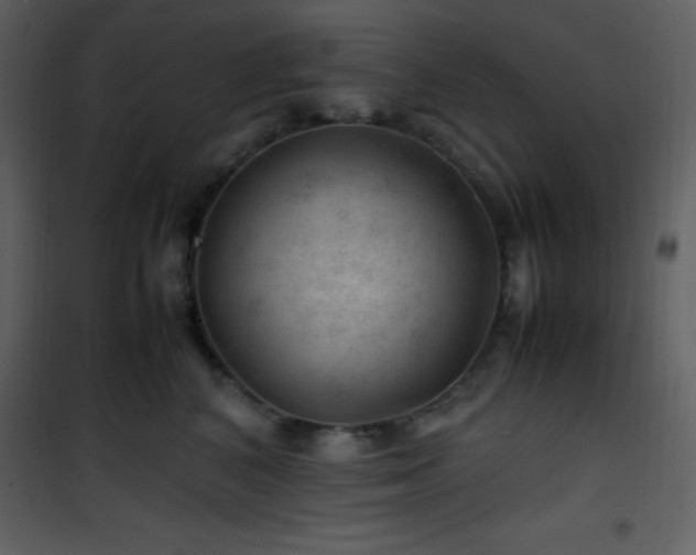 X0000102010616200807181230