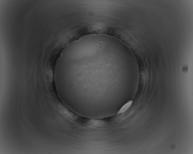 X0000102010617200807181230