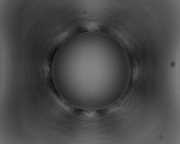 X0000102010618200807181230