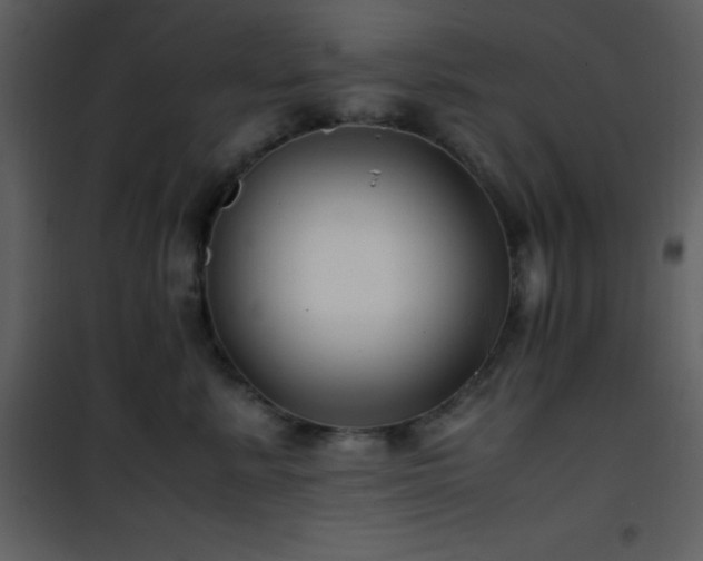X0000102010619200807181230