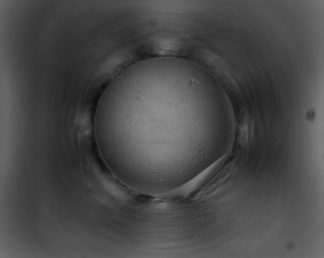 X0000102010620200807181230
