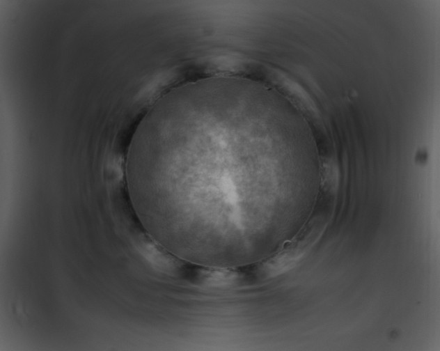 X0000102010621200807181230