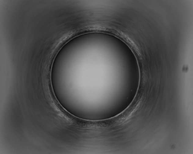 X0000102010625200807181229