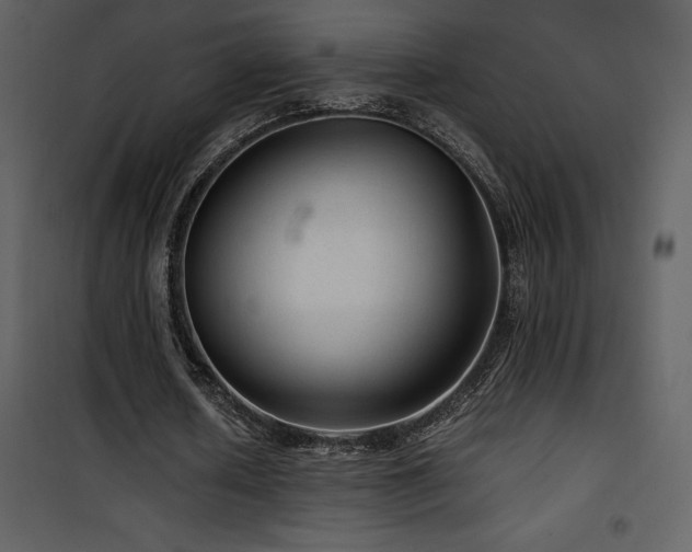 X0000102010626200807181229
