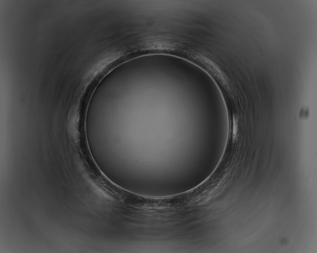 X0000102010627200807181229