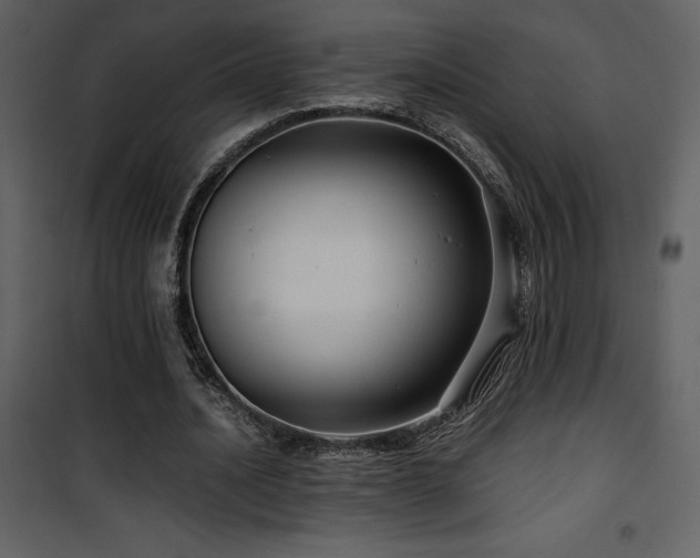 X0000102010628200807181229