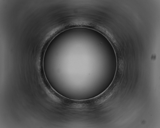 X0000102010629200807181229