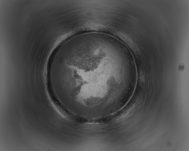 X0000102010630200807181229