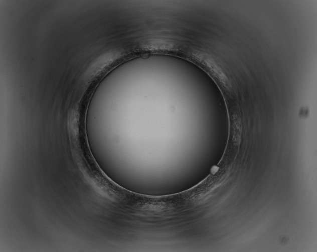 X0000102010631200807181229