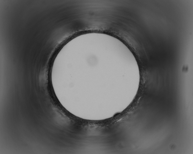 X0000102010632200807181229